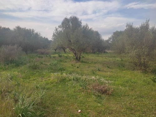Vente Terrain Tizi ouzou Souamaa