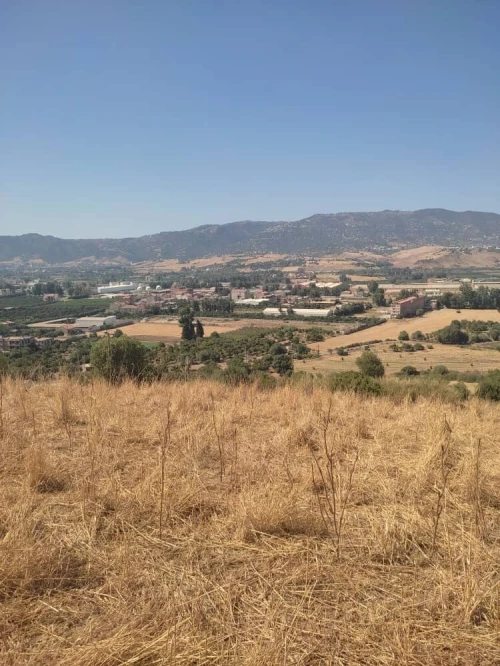 Vente Terrain Tizi Ouzou Larbaa nath irathen