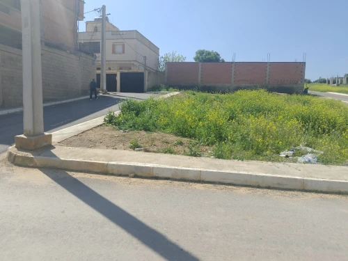 Vente Terrain Relizane Mazouna