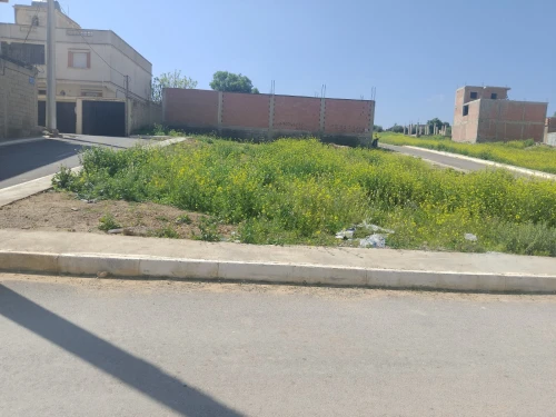Vente Terrain Relizane Mazouna
