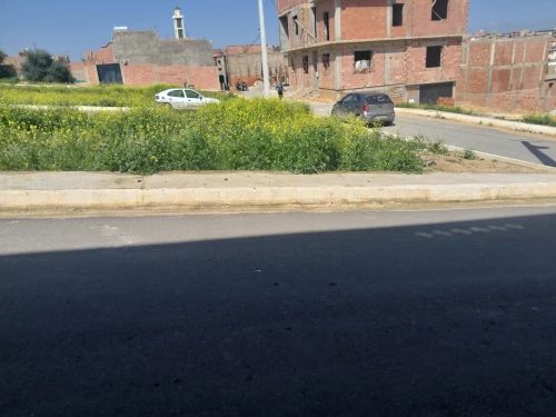Vente Terrain Relizane Mazouna