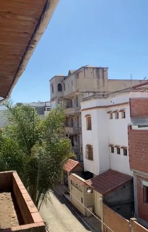 Vente Carcasse Alger Birtouta