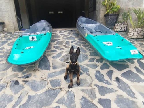 2 KAYAKS FIBRE  1 et 2 places  COMME NEUFS ! 
