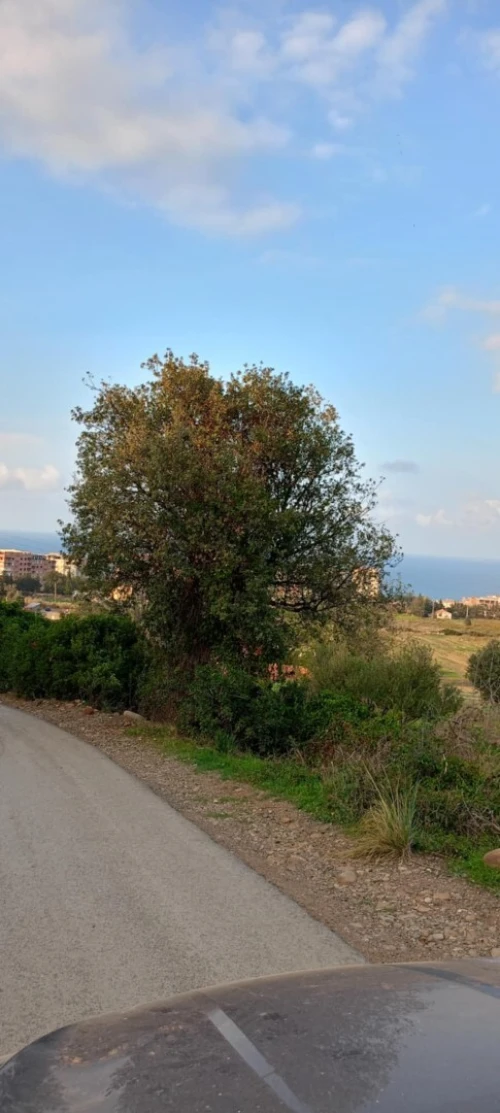 Vente Appartement F2 Tizi Ouzou Ait chaffaa