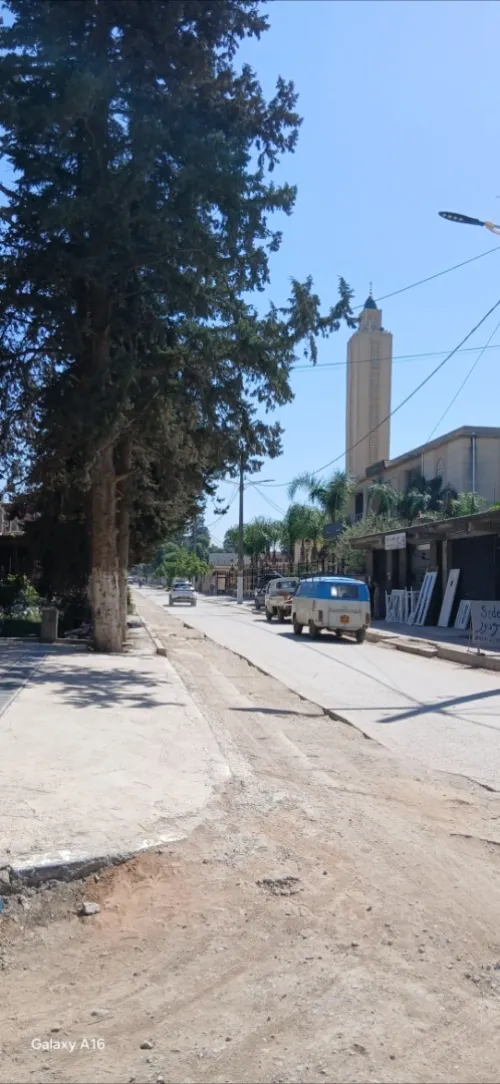 Vente Terrain Blida Bougara