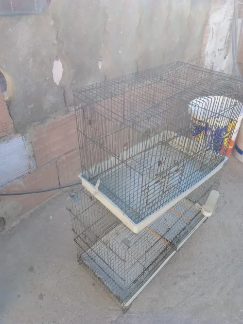 Cage 