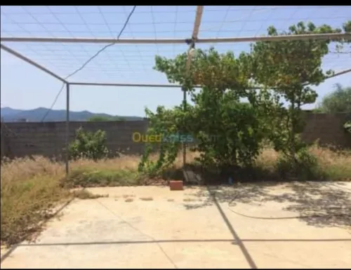 Location vacances Niveau De Villa F2 Jijel Kemir oued adjoul