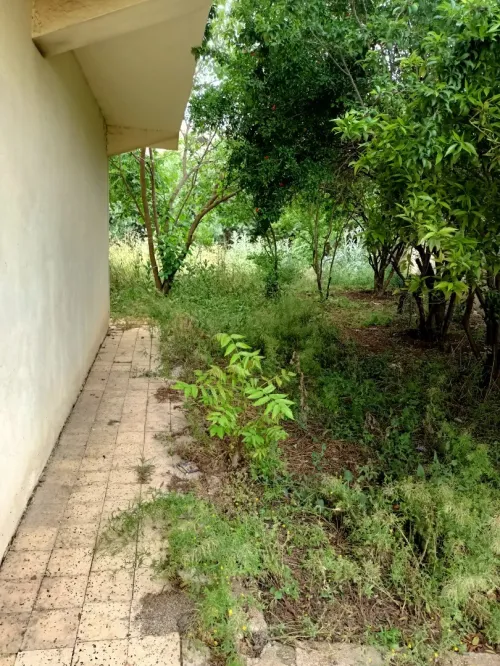 Vente Villa Constantine El khroub