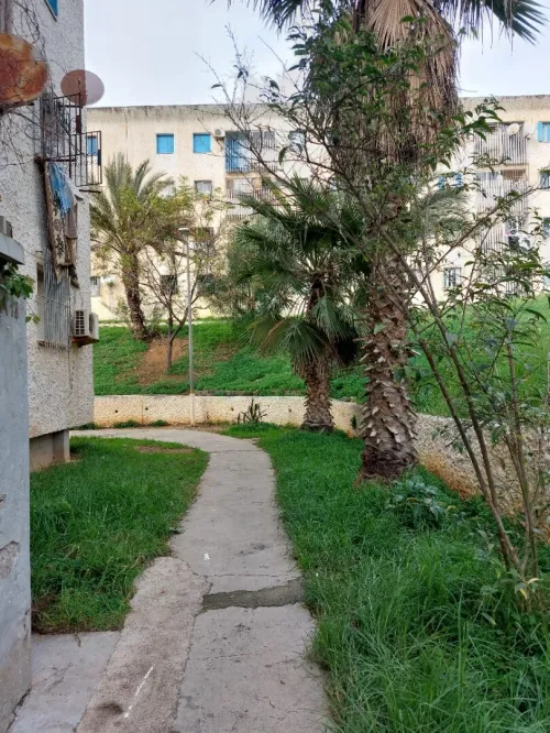 Location Appartement F3 Alger Kouba