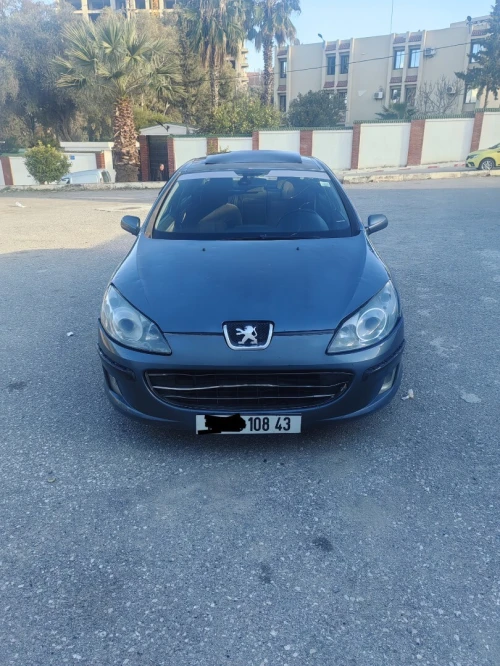 Peugeot 407 2008 407