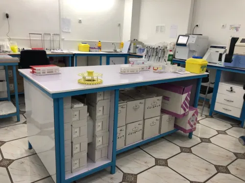Paillasse (table)laboratoir طاولات المخابر 