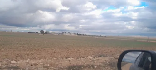 Vente Terrain Agricole Oum El Bouaghi Berriche