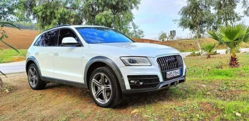 Audi Q5 2016 Off Road