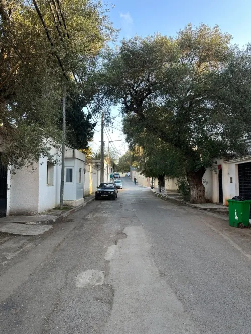 Location Villa Alger Ben aknoun