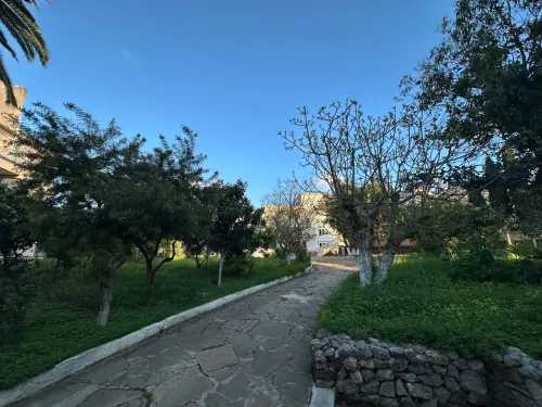 Location Villa Alger Ben aknoun