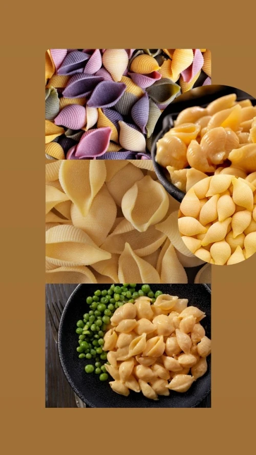 Pastille/moule/ filières bronze teflon production de pâtes alimentaires باستي/باستيل رشتة مقرونة