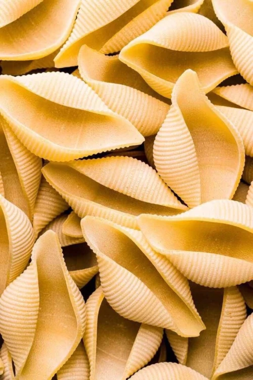 Confection sur mesure de tout types de moule pastilles filière bronze inox machine pâte alimentaire