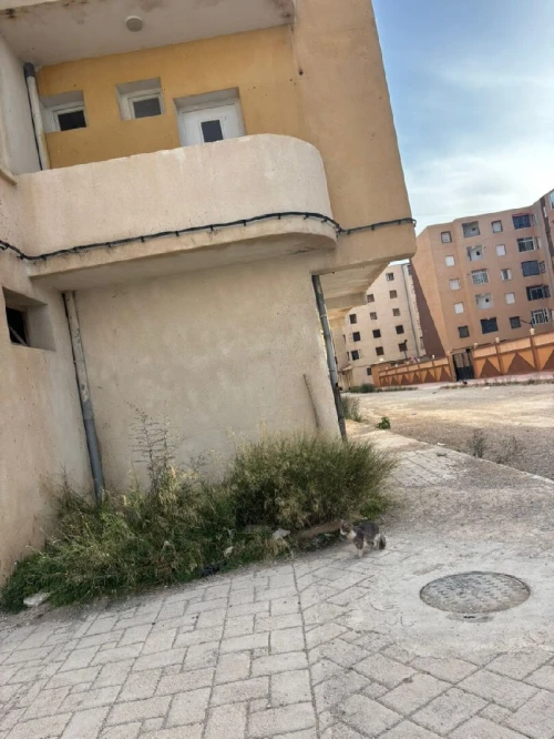 Vente Appartement F3 Mila Chelghoum laid