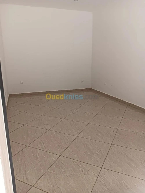 Location Local Oran Bir el djir