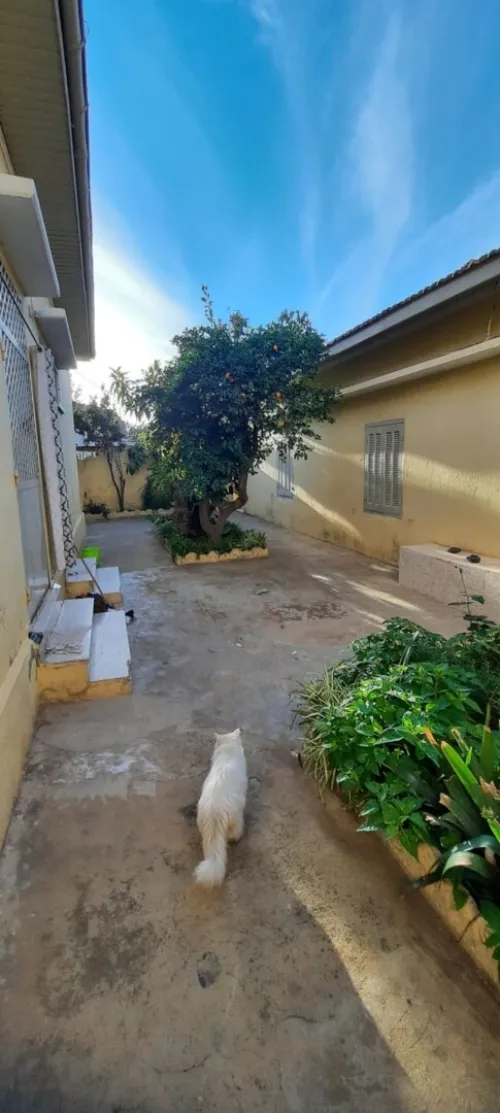 Vente Villa Blida Blida