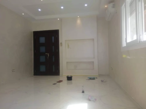 Rénovation : Placo  plâtre , peinture décorative, électricités 