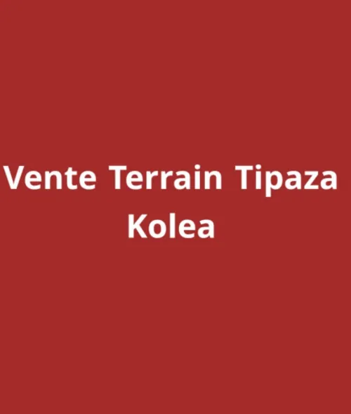 Vente Terrain Tipaza Kolea