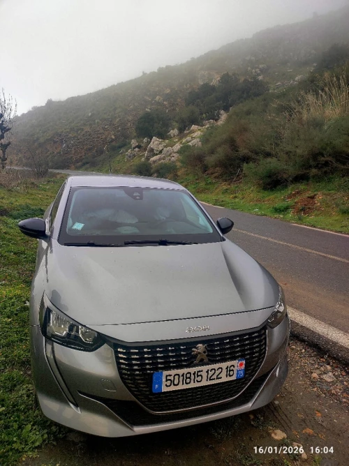 Peugeot 208 2022 Active