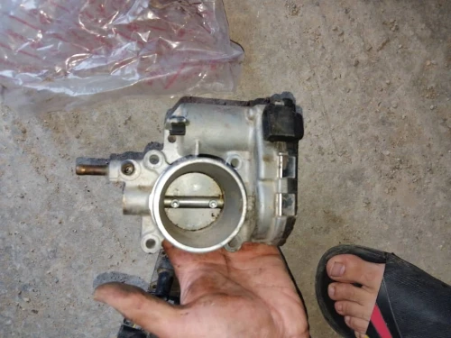 chery yoki papion
