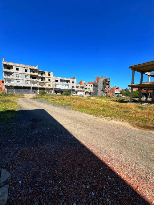 Vente Terrain Blida Boufarik