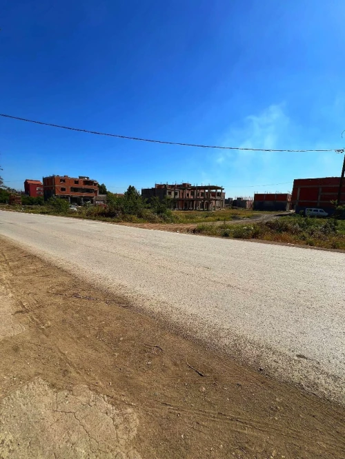 Vente Terrain Blida Boufarik
