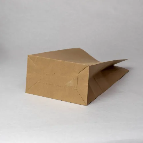 Sac 1kg 2 kg en papier kraft 