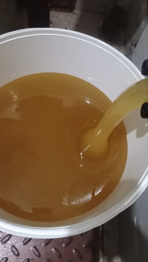 عسل البرتقال