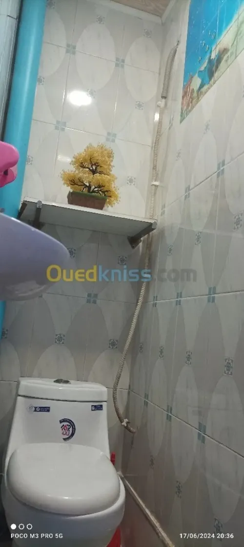 Location Appartement F3 Skikda Filfla