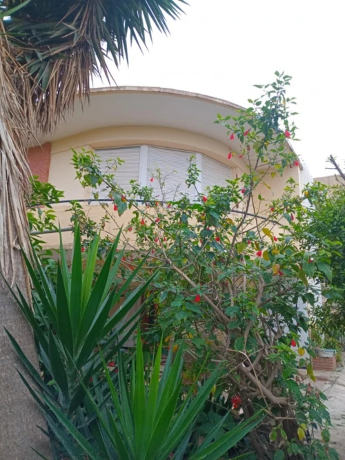 Vente Villa Tipaza Cherchell