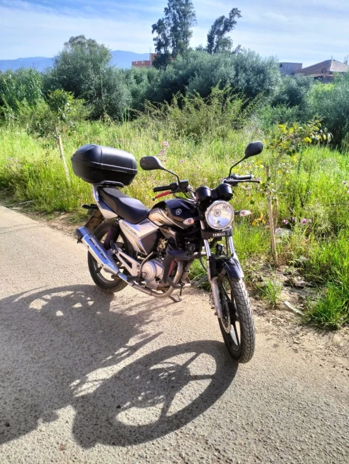 YAMAHA YBR 