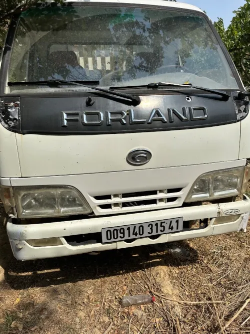 Forland Forland 2015