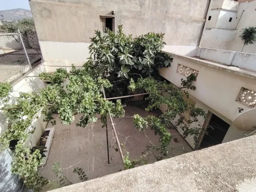 Vente bien immobilier Tlemcen Tlemcen