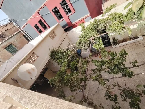 Vente bien immobilier Tlemcen Tlemcen