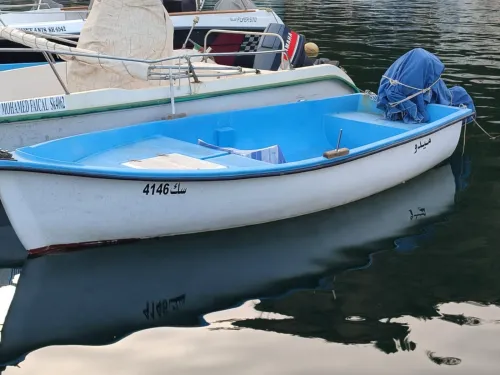 Barque 4.80 avec moteur tohatsu 30cv 2023 