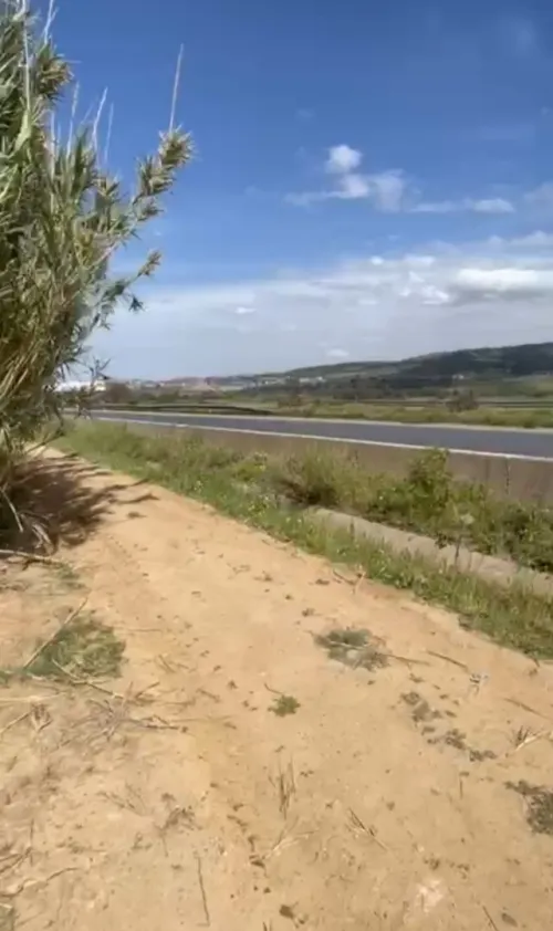 Vente Terrain Boumerdès Ouled moussa