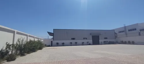Location Hangar Blida Boufarik