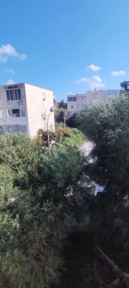 Location Appartement F3 Alger Dely brahim