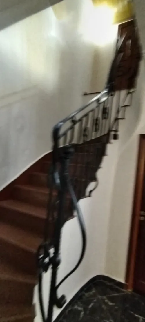 Location Appartement Alger Dely brahim