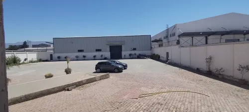 Location Hangar Blida Boufarik