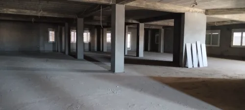 Location Hangar Blida Boufarik
