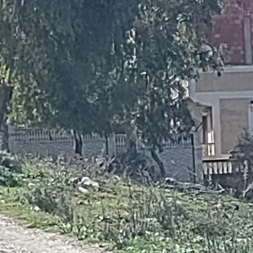 Vente Villa Guelma Oued zenati