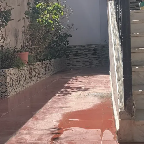 Vente Villa Guelma Oued zenati