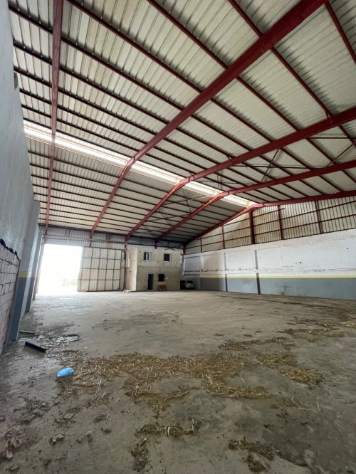 Location Hangar - Usine Mostaganem Sayada