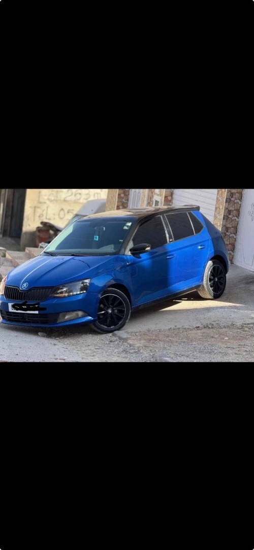 Skoda Fabia 2018 Monte Carlo