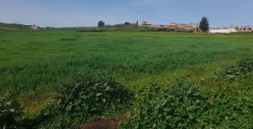 Vente Terrain Tizi Ouzou Sidi naamane